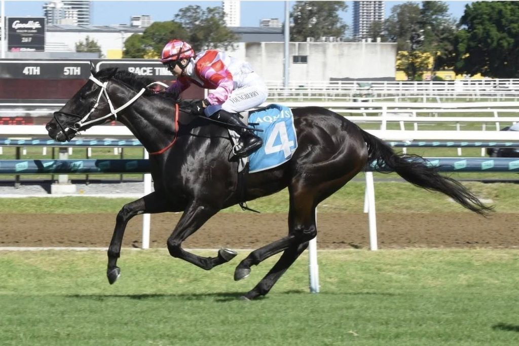 Synergy In Motions Wins Comfortably for Campton Racing