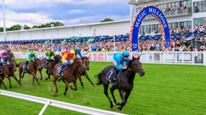 Magic Millions Raceday Excitement - Credit : Magic Millions