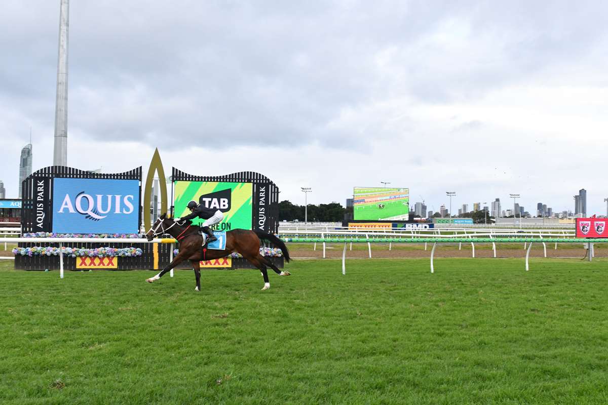 Count Nicholas Wins Easily at Gold Coast 18.7.2026
